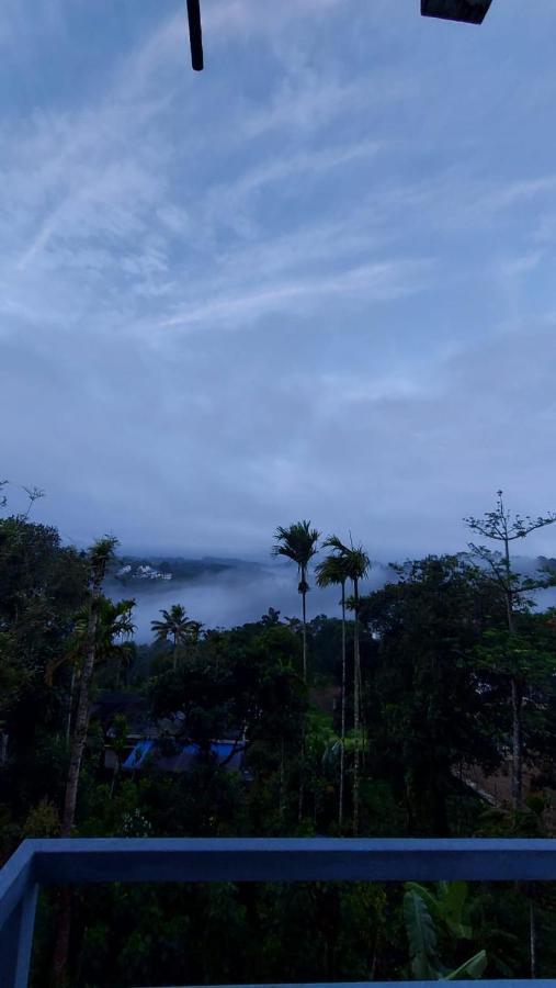 Greenpepperhomestay Munnar Anaviratty Екстер'єр фото