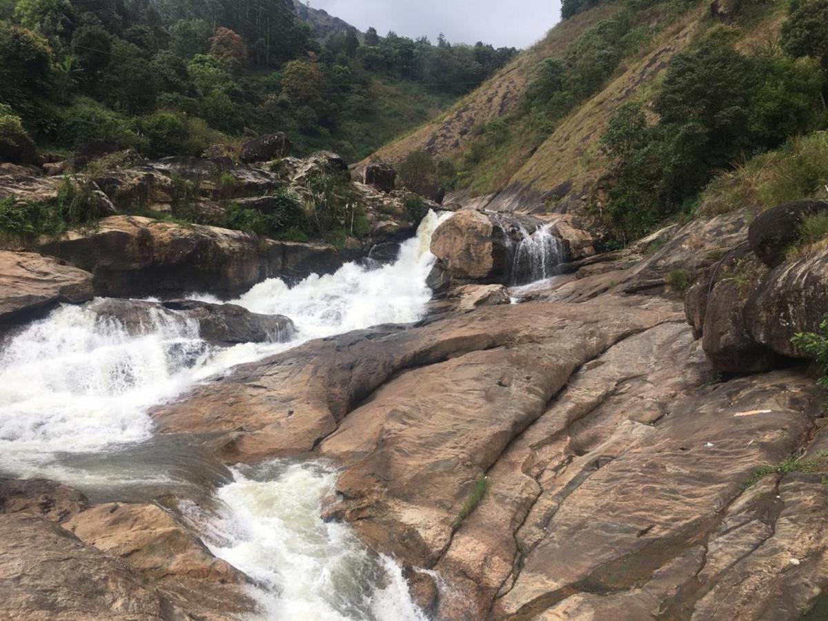 Greenpepperhomestay Munnar Anaviratty Екстер'єр фото
