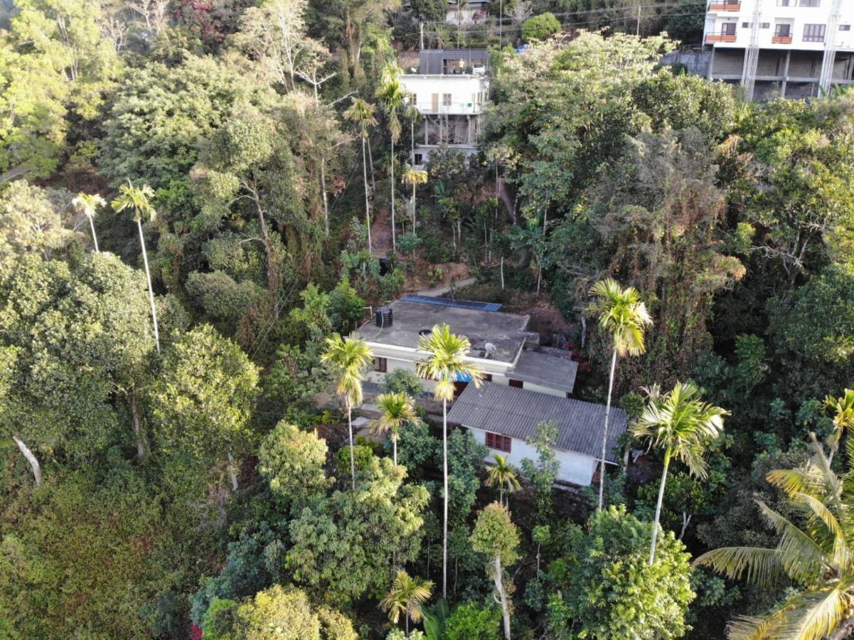 Greenpepperhomestay Munnar Anaviratty Екстер'єр фото